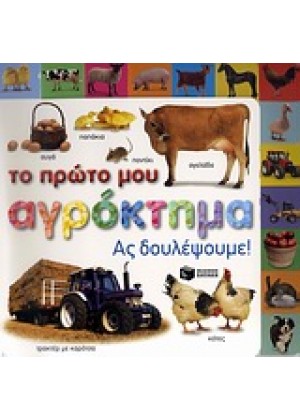 ΤΟ ΠΡΩΤΟ ΜΟΥ ΑΓΡΟΚΤΗΜΑ