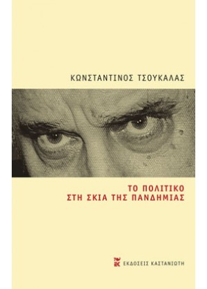 ΤΟ ΠΟΛΙΤΙΚΟ ΣΤΗ ΣΚΙΑ ΤΗΣ ΠΑΝΔΗΜΙΑΣ